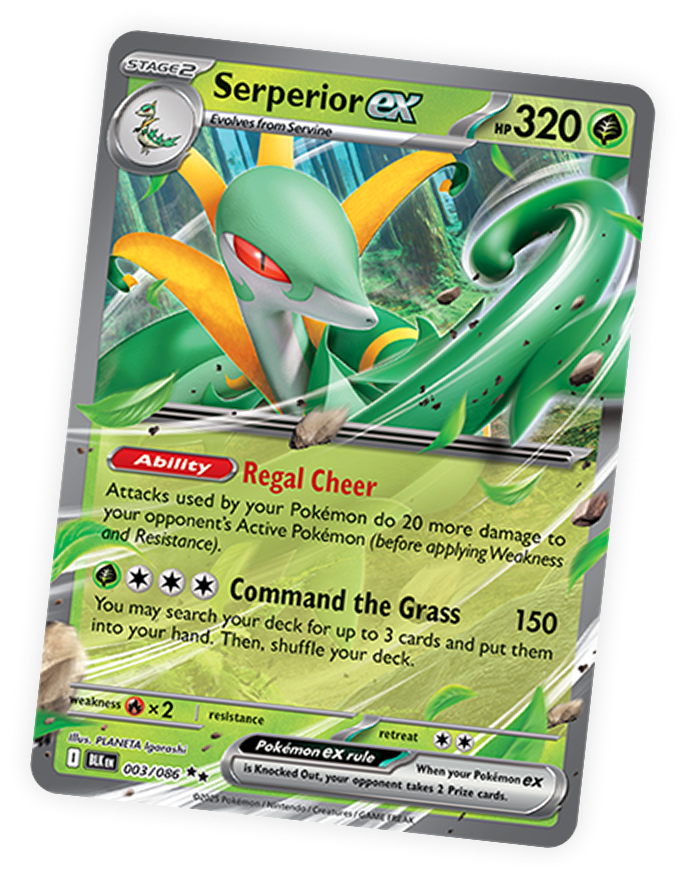 Pokemon card
